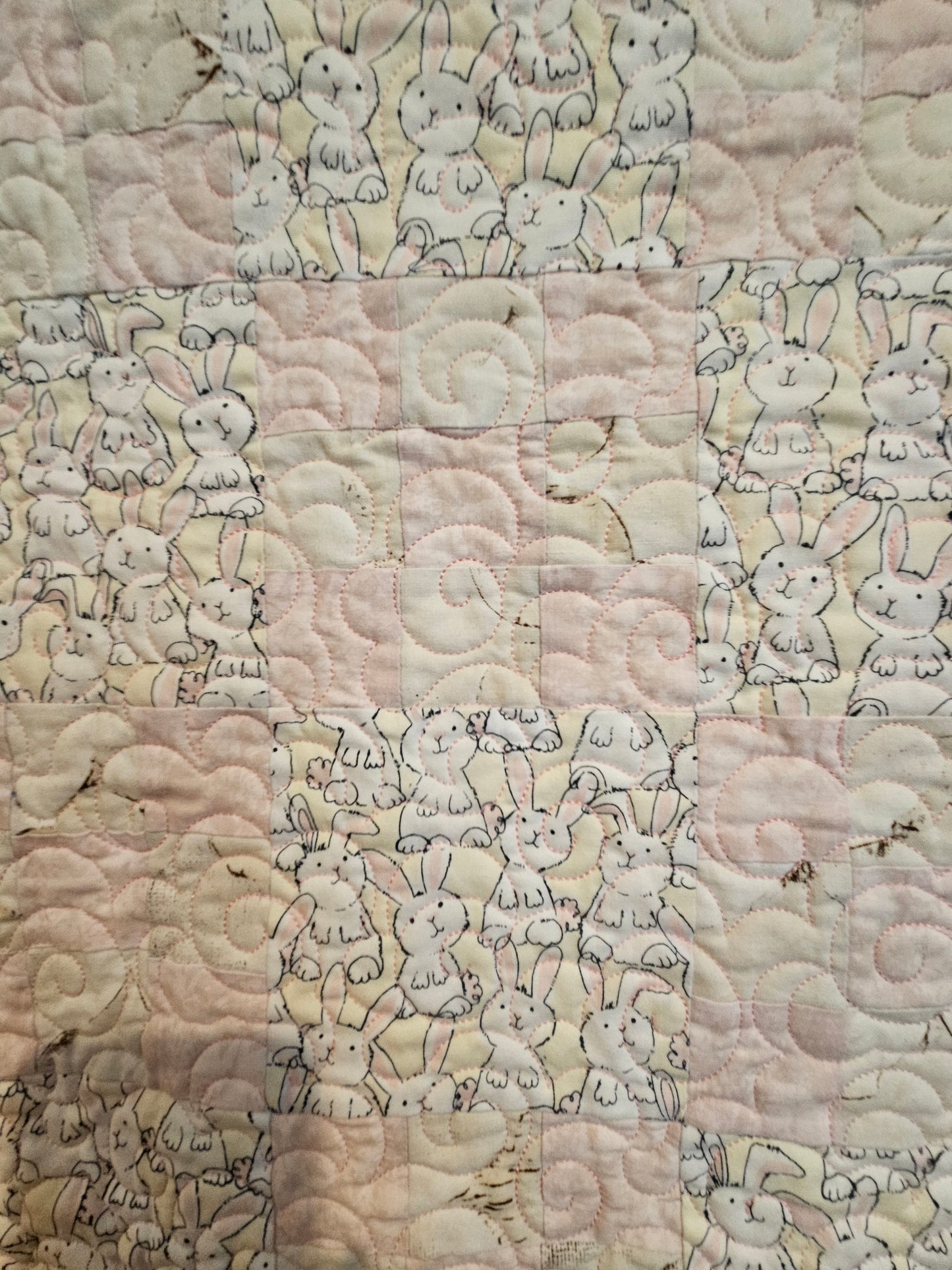 close up photo of the bunnies